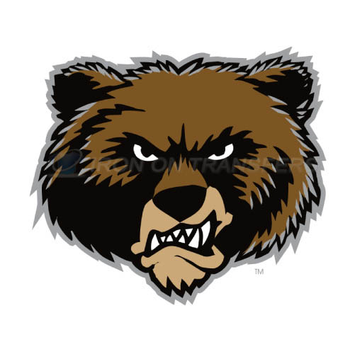 Montana Grizzlies Iron-on Stickers (Heat Transfers)NO.5171